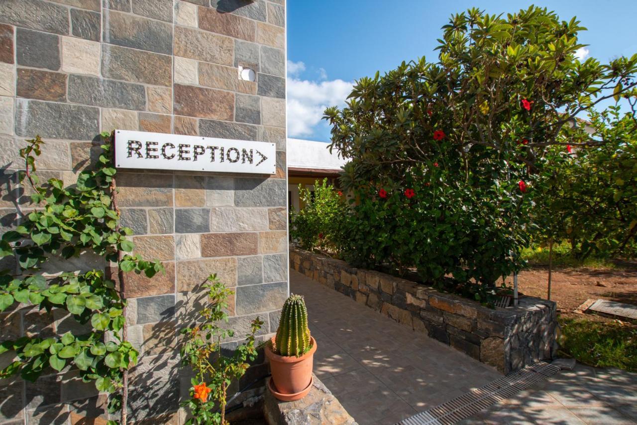 Medusa Hotel apartamentowy